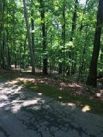 130 Summit Pine