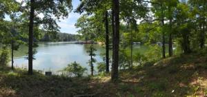 Lot 48 Clear Point Trail