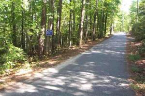 0000 Lake Becky Road Lot 8