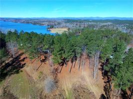 258 Piney Woods Trail