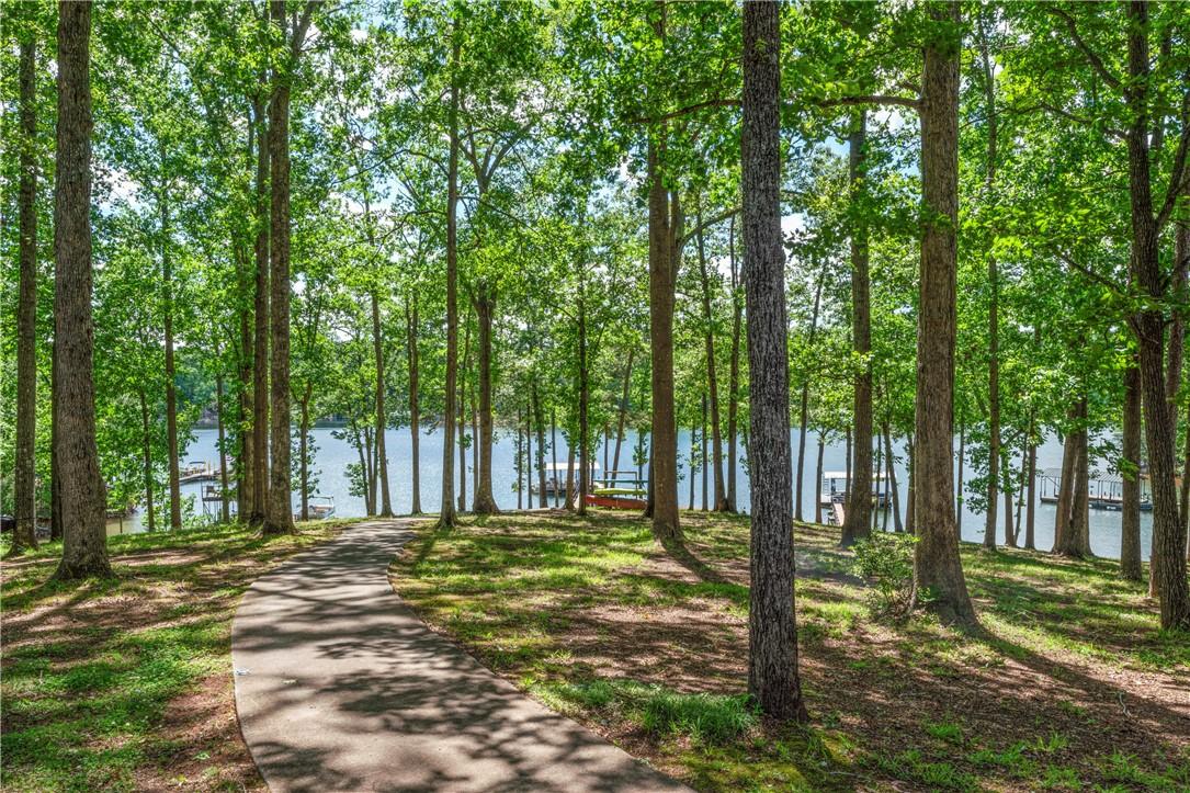 Image 2: Gentle slope to the water - concrete path