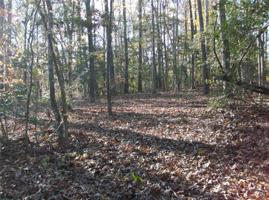 Lot 9 + 8B Lone Eagle Way