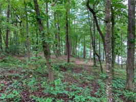 Lot 24-B Waters Edge