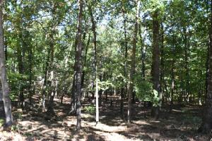 Lot 10 Waterford Pointe