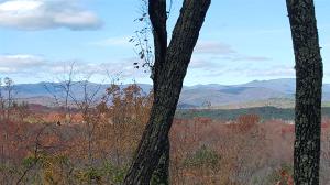 Lot 10 Cliffs Falls Parkway