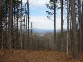 000 Top Ridge Dr./Coldwater Dr.