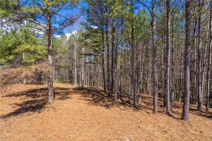 Lot 220 Lightwind Court