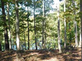 121 Tranquil Cove Circle