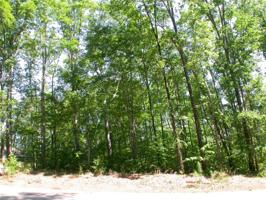 119 Woods Drive