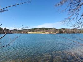 440 Pileated Woodpecker Lane