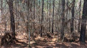 Lot 217 Highridge Drive