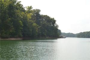 Lot 2 Paynes Creek Off Road
