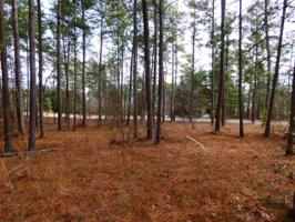 Lot 96 Wynward Pointe III