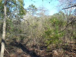 Lt 51 Widewater Court