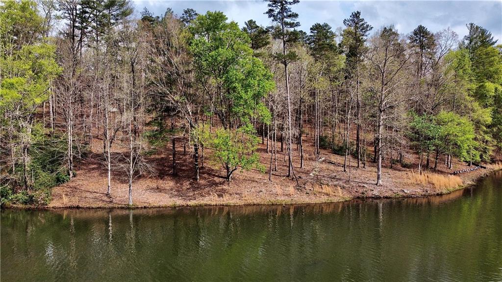 541 The Bear Boulevard, Tamassee, SC lhrmls01579998