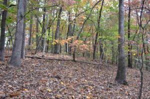 Lot 4 Waterford Pt