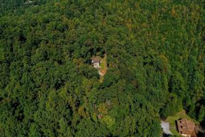 157 Summit Pine