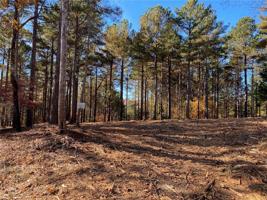 Lot 57 Spring Cove Way