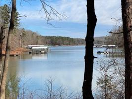 223 Blueberry Lane