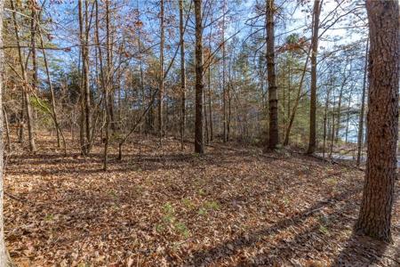 Lot 46 Princess Tree Way