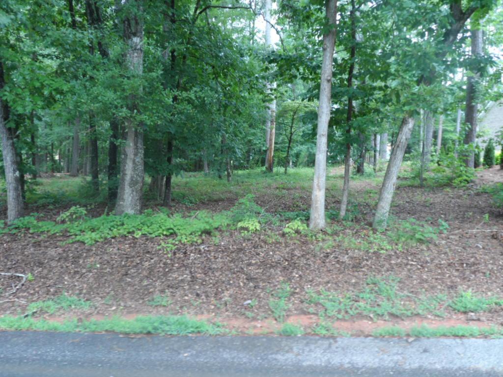 Image 3: A well-treed parcel offers ample shade and natural