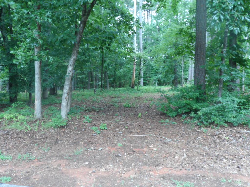 Image 4: A secluded, wooded lot awaits your dream home amid
