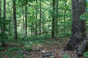 Lot 3 Waterford Ridge