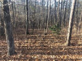 Lot 276 Yellowood Drive