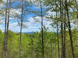 Lot 38 Cliffs Vista Parkway