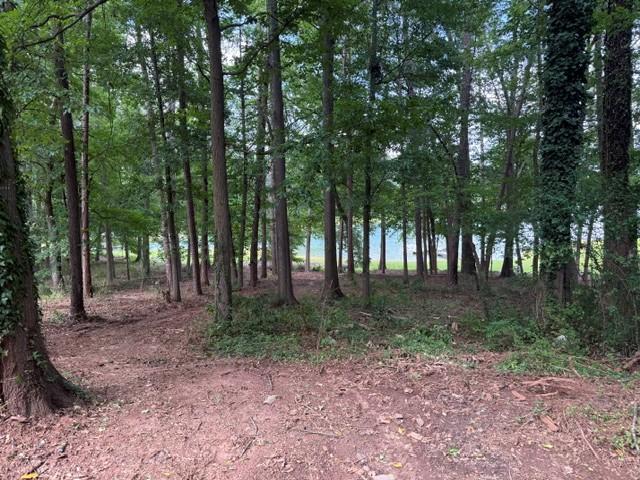Image 1: Mature trees frame glimpses of serene waters in th