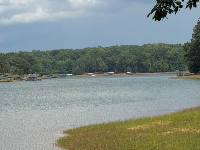 Image 3: A tranquil lake view bordered by lush woodlands an