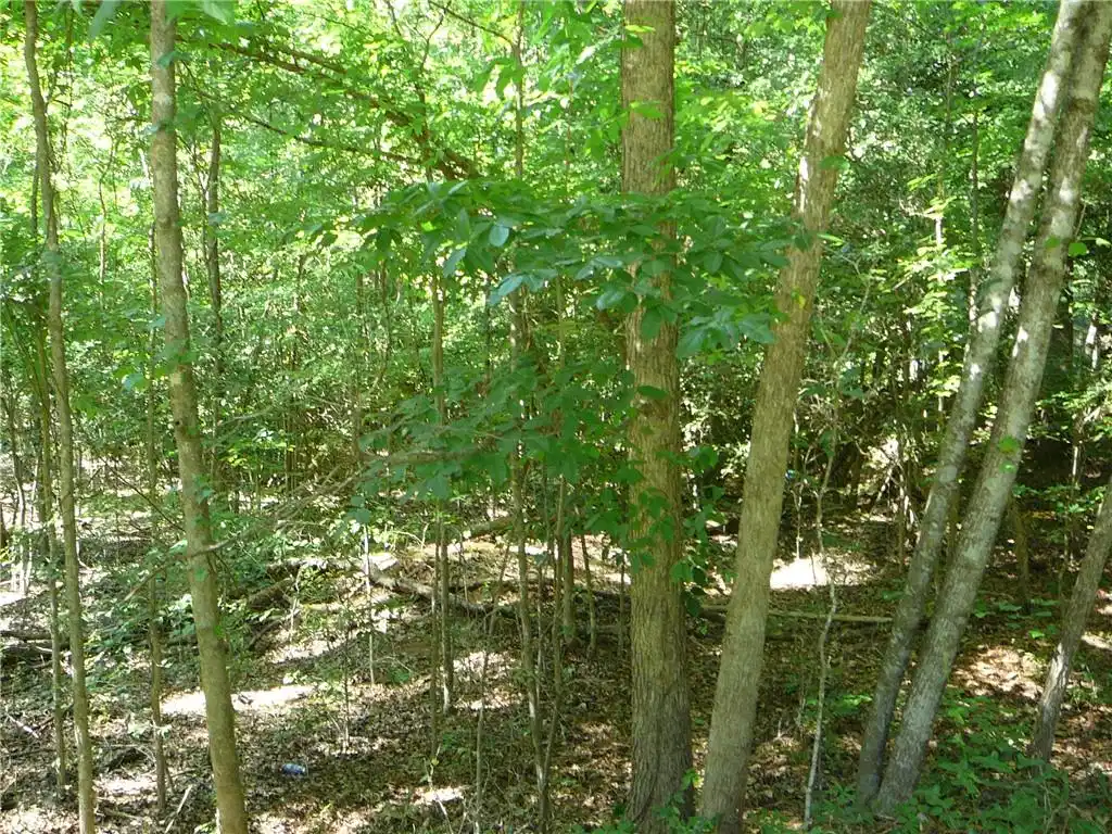 Image 1: A secluded wooded lot offers privacy and a canvas