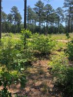 Lot 35 Timber Bay Little Bay Lane
