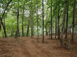 000 Longview Ct/ Lot 71 Waterside Crossing