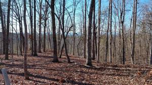Lot 81 Sawyer Way