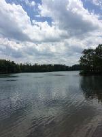 377 Peninsula Ridge