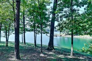 354 Coveview Court