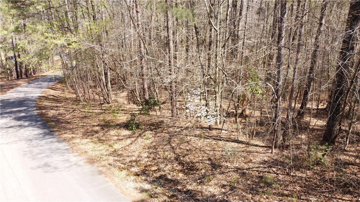 Image 3: Scenic wooded parcel offering a private retreat wi
