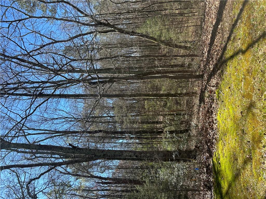 Image 2: Expansive, wooded lot offering a serene natural ba
