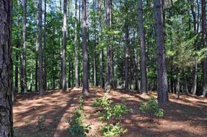 00 Deep Cove Point Lot A 92