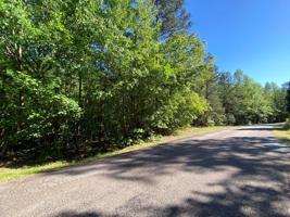 0 Lake Place Drive Lot 1