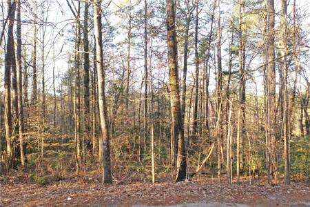 611 The Bear Boulevard