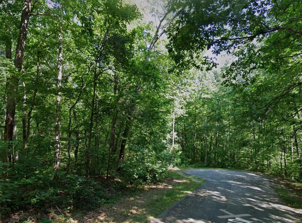 Image 2: Mature trees line a winding road, offering privacy