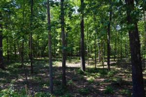 205 Hillview Drive