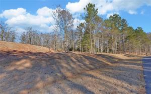 0 Carlota Way Lot E1