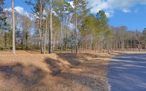0 Nylah Lane Lot E2