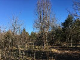 0 Charlies Creek Road Lot NA
