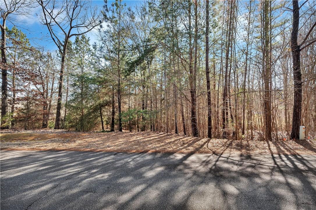Image 2: This expansive lot offers a tranquil, private yard