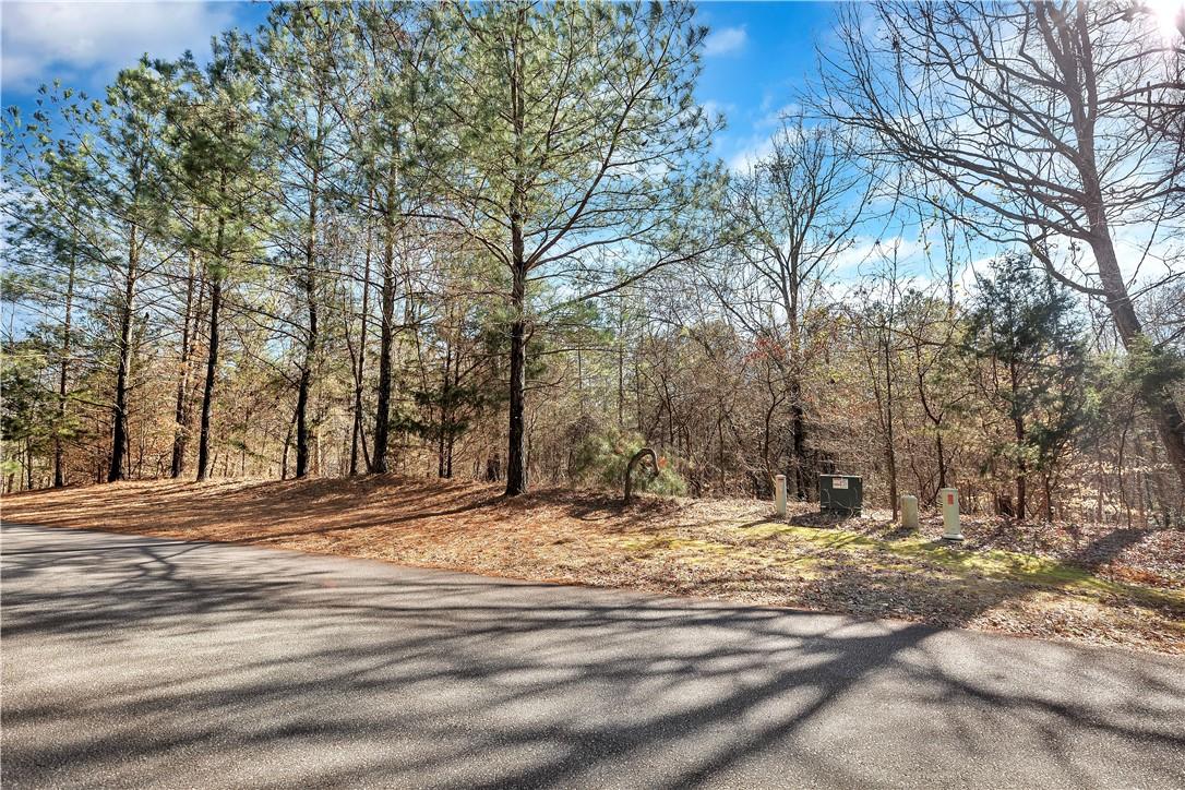 Image 2: Mature trees line this tranquil, undeveloped lot w