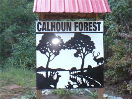 386 Calhoun Forest Drive